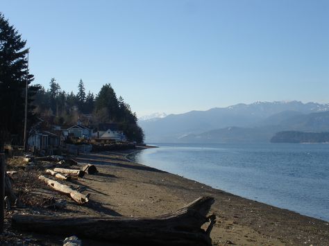 The western shoreline of The Hood Canal near Seabeck WA Maine Aesthetic, Northern Maine, Hood Canal, Life Is Strange, Pretty Places, Washington State, Special Places, Pacific Northwest, Pretty Pictures