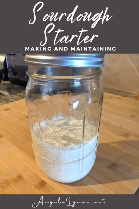 Sourdough Starter Sourdough Bread Starter, Dough Starter, Bread Starter, Rye Flour, Types Of Flour, Sour Dough, Sourdough Baking, Sourdough Recipes, Whole Wheat Flour