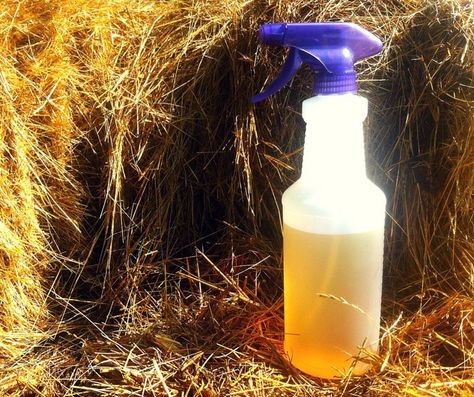 Want a natural alternative to chemical-filled bug sprays? Here's a recipe for natural fly repellent you can make in your own kitchen - today. #chickens #backyardchickens #homesteading #country #pets #birds #summer #summerstyle Natural Fly Repellent Outdoors, Diy Flies Repellent, Fly Repellant Diy, Fly Deterrent, Natural Fly Repellant, Wasp Spray, Get Rid Of Wasps, Deer Fly, Fly Spray