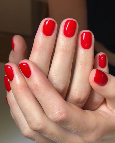 Short Red Nails, Red Gel Nails, Bright Red Nails, Red Nail, Dipped Nails, Chic Nails, Powder Nails, Winter 2023, Nail Trends