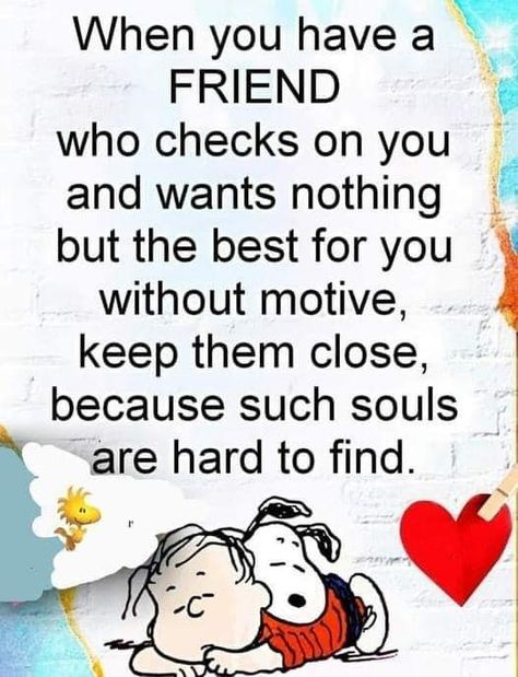 True Friends Check Up On You, Just Checking In On You Quotes, Just Checking On You Quotes Friends, What Is Best Friend, Famous Quotes Inspirational, God Encouragement, True Friends Quotes, Sisters Quotes, Quote Pictures