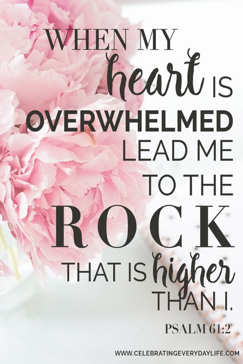 When My Heart Is Overwhelmed Lead Me To The Rock That Is Higher Than I scripture | Celebrating Everyday Life with Jennifer Carroll | www.CelebratingEverydayLife.com Psalm 61, Ayat Alkitab, Life Quotes Love, Prayer Scriptures, Inspirational Bible Quotes, Bible Verses Quotes Inspirational, Biblical Quotes, Inspirational Bible Verses, Favorite Bible Verses