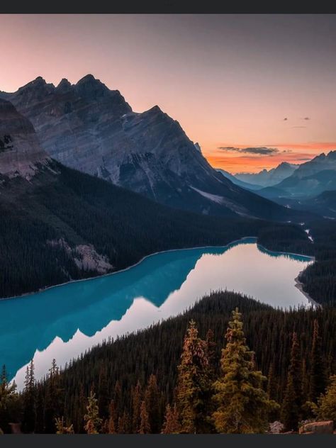 Peyto Lake Canada, Peyto Lake, Banff National Park Canada, I Am Canadian, Canada Images, Banff National Park, Classic Movies, Toronto Canada, From Instagram