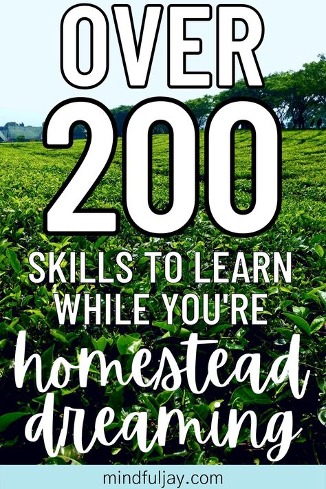 Farm Restoration, Homestead Structures, Homestead Skills, Dream Homestead, Homestead Layout, Starting A Farm, Happy Homemaking, Urban Homestead, Acre Homestead