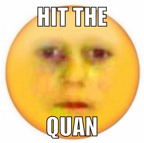 Hit The Quan, Women Humor, Funny Pins, Funny Images, Sense, Humor, In This Moment, Memes, Bed