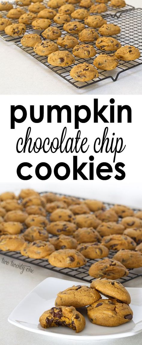 The BEST pumpkin chocolate chip cookies! Best Pumpkin Chocolate Chip Cookies, Cookies Pumpkin, Pumpkin Chocolate Chip, Pumpkin Chocolate Chip Cookies, Recipes Chocolate, Pumpkin Chocolate Chips, Best Pumpkin, Pumpkin Cookies, Pumpkin Chocolate