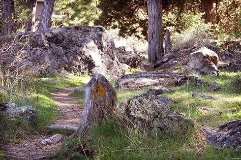 Samhain meditation: As the nights draw in and the leaves take on their autumn colours it is the perfect time of the year to sit and meditate. Samhain Meditation, Pagan Halloween, Blessed Samhain, Samhain Ritual, The Crone, The Nights, Autumn Colours, 31 Days, Birch Tree