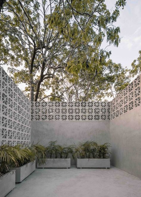 Breeze Blocks Pool Area, High Concrete Fence, Wall Extension Ideas Backyard, Bali House Architecture, Breeze Block Garden Wall, High Garden Fence, Cement Fence Ideas, Breezeblock Fence, Outdoor Tiles Over Concrete