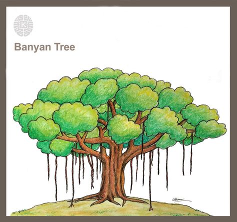 In this video I show you how to draw easy different a Banyan tree / banian tree drawing. In this technique is easy to make drawing for you. Hope you like it. Narra Tree Philippines Drawing, National Symbols Of India Drawing, Banyan Tree Drawing, Easy Tree Drawing, Symbols Drawing, Tree Drawing For Kids, Draw Trees, Tree Drawing Simple, Family Tree For Kids