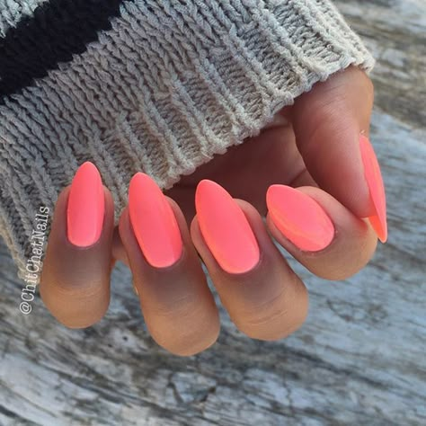 Nails Tropical Nail Designs, Florida Nails, Unghie Sfumate, Nagellack Trends, Tropical Nails, Bright Summer Nails, Vacation Nails, Super Nails, Pink Doll