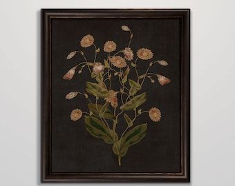 Moody Painting, Botanical Artwork, Hur Man Målar, Flower Artwork, Dark Floral, Vintage Botanical, Floral Vintage, Botanical Art, Kitchen Wall Art