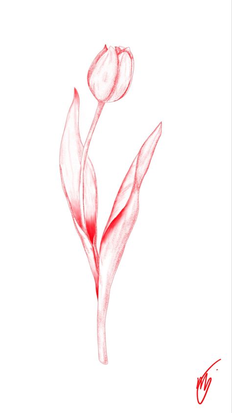 Tulip Tattoo Spine, Orange Tulip Tattoo, Tulip Back Tattoo, Tulip Spine Tattoo, Tuberose Tattoo, Red Tulip Tattoo, Tulip Tattoo Design, Printable Tattoos, Amsterdam Tattoo