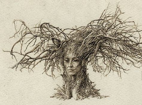 Tree Ink Drawing, Enchanted Art, Nature Witch, Shadow Self, Tree Tattoos, Tree People, Humanoid Creatures, Tree Faces, Tree Woman