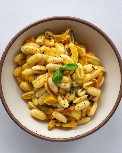 This bright and creamy delicata squash cavatelli is my cozy response to really wanting summer to be here – but still wanting to use the best of my winter stock! I had two delicata squashes lying around, and a million... Read More The post Delicata Squash Cavatelli appeared first on Justine Doiron. Justine Doiron, Best Oatmeal Raisin Cookies, Orzo Dishes, Unique Pasta, Kale Pasta, Vegetarian Italian, Squash Pasta, Delicata Squash, Simple Pantry