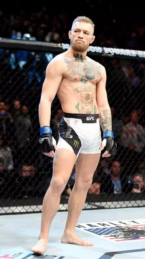 Ufc Conor Mcgregor, Mma Motivation, Mma Videos, Mma Girls, Boxing Images, Mma Workout, Male Pose Reference, Funny Poses, Ufc Fighters