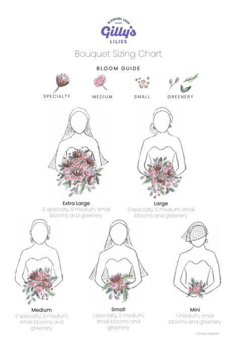 Illustrated watercolor bouquet size chart. By Cornelia Carpenter for Gilly’s Lilies. Colorful Wedding Flower Bouquets, Basic Flower Bouquet, Different Styles Of Bridal Bouquets, Wedding Bouquets Fresh Flowers, Wedding Bouquet Sizes Chart, Bridal Bouquet Shapes Guide, Elegant Wedding Bouquet Ideas, Bridal Bouquet Sizes, Unique Bride Bouquet