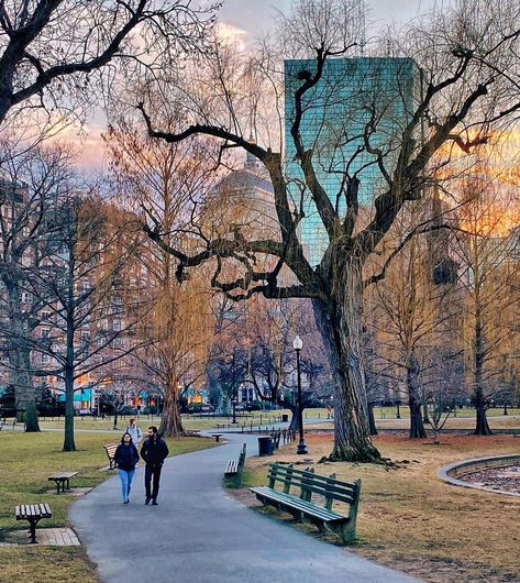 Snowless Winter, Boston, Outdoor Decor, On Instagram, Instagram