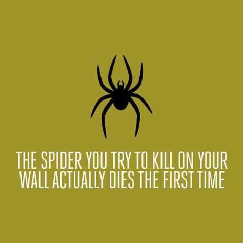 *Shudder* In A Perfect World, Hallowen Ideas, Victoria Station, Creeped Out, Perfect World, Happy Campers, You Tried, Happy Places, I Laughed