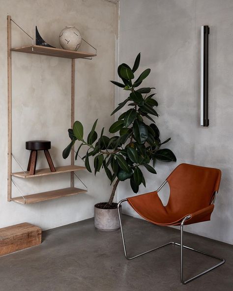 Kollekted by on Instagram: “Furniture favorites in our Oslo store / The Paulistano chair designed back in 1957, a Shelf Library hanger section, the AML stool and a…” Shelf Library, Green Corner, Retro Interior Design, Library System, Light Photo, Retro Interior, Butterfly Chair, A Shelf, Living Room Chairs