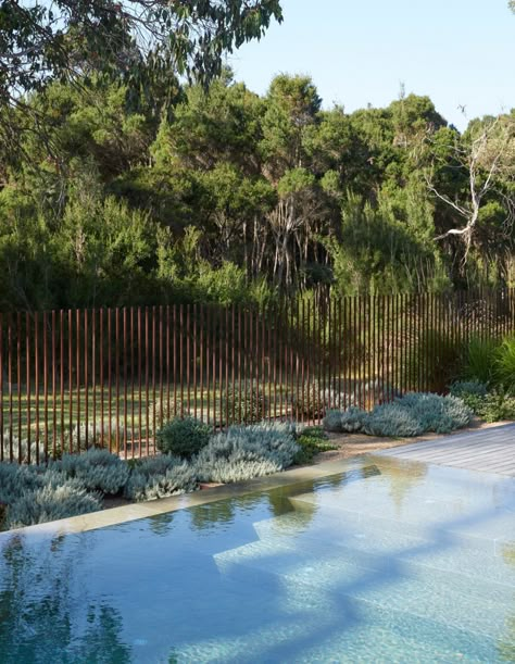 A Boundless Garden Immersed In Native Bushland Native Australian Pool Landscaping, Pool Landscaping Australian, Pool Fences, Landscape Details, Pool Fencing, Australian Native Garden, Modern Pool, Pool Landscape, Pool Landscape Design