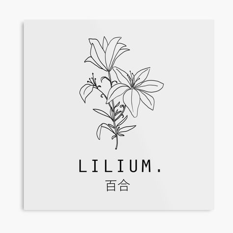 japan japanese flower floral minimalist simple simple touch lilium lily minimalist lilium minimalist lily simple flower plant mom flower lover blossom Lilies Drawing, Floral Minimalist, Japanese Minimalist, Minimalist Japanese, Japanese Flower, Simple Flower, Japanese Flowers, Simple Flowers, Plant Mom