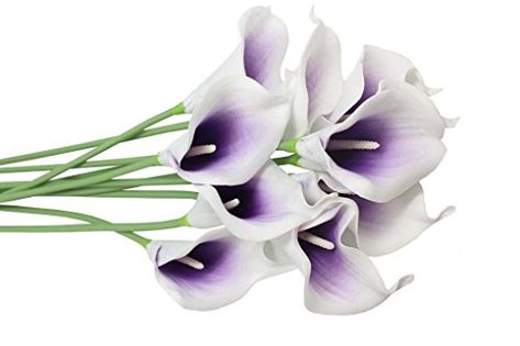 Calla Lily Colors, Pink Calla Lilies, Calla Lily Bridal, Purple Calla Lilies, Bridal Wedding Bouquet, Mini Calla Lilies, Calla Lily Bouquet, Purple Wedding Bouquets, Cheap Wedding Flowers