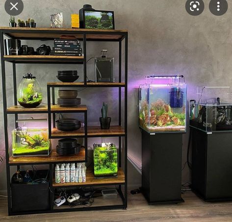 Aquarium Rack, Aquarium Cabinet, Turtle Tank, Have A Great Weekend, Aquarium Fish Tank, Aquascaping, Layout Inspiration, Cabinet Design, Aquarium Fish