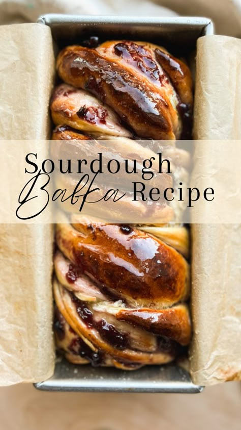 Sourdough Babka, Sourdough Ideas, Cinnamon Babka, Babka Bread, Brioche Dough, Discard Recipe, Babka Recipe, Sourdough Starter Discard Recipe, Chocolate Babka