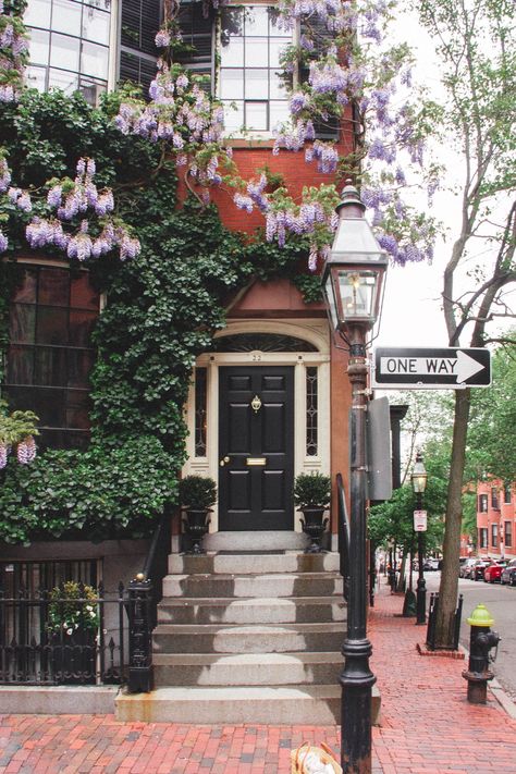 Window Box Decor, Wisteria House, Red Brick House Exterior, Beacon Hill Boston, Boston House, Box Decor, Garden On A Hill, Red Brick House, Brick Exterior House