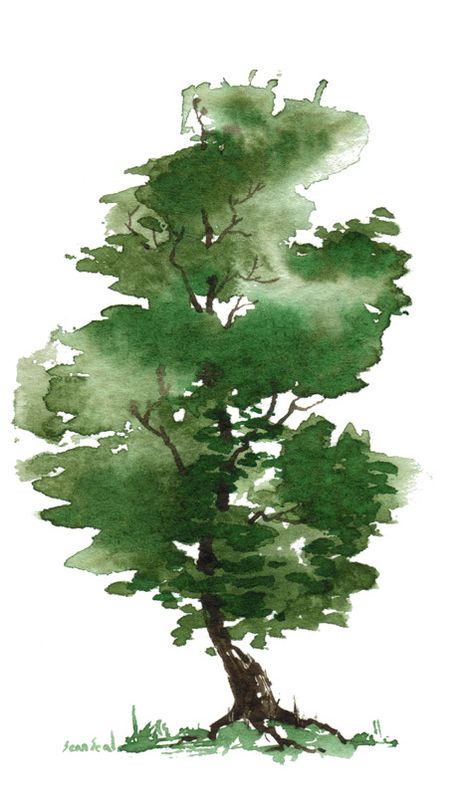 watercolor trees - Google Search Akvarel Illustration, Watercolor Tree, Watercolour Inspiration, 수채화 그림, Watercolor Trees, Watercolor Inspiration, Watercolour Tutorials, Watercolor Techniques, Tree Art