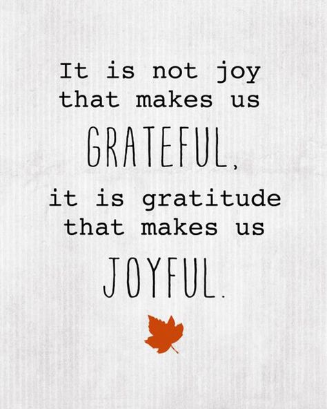 35 Best Gratitude Quotes To Share When You're Feeling Thankful #grateful #gratitude #gratitudequotes Grateful Heart Quotes, Gratitude Quotes Thankful, Grateful Quotes, Thankful Quotes, Feeling Thankful, Joy Quotes, Can't Stop Won't Stop, Life Quotes Love, Thanksgiving Quotes