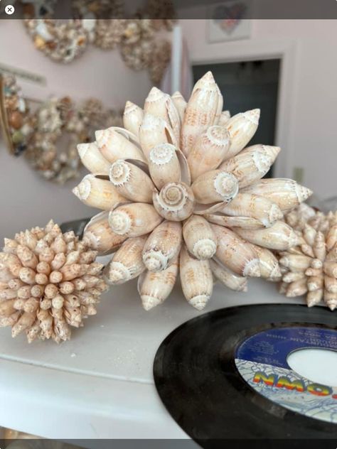 Olive Shell, Seashell Artwork, Shell Flowers, Shell Crafts Diy, Diy Wall Art Decor, Cement Crafts, Beach Cottage Decor, Christmas Crafts For Gifts, Seashell Art