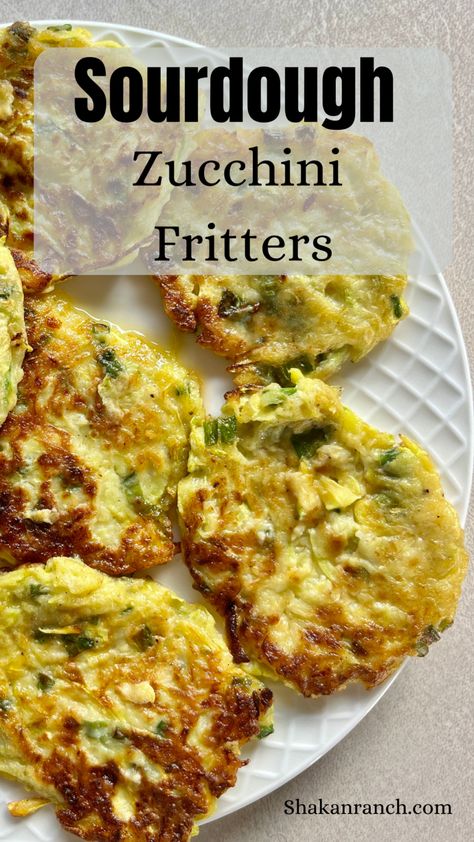 Sourdough Zucchini Fritters - Shakan Ranch Sourdough Zucchini, Vegetarian Fritters, Courgette Fritter, Zucchini Fritters Recipe, Zucchini Recipes Healthy, Zucchini Pancakes, Sourdough Bread Starter, Sourdough Starter Discard Recipe, Fritters Recipe