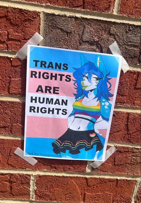 Trans Rights Are Human Rights, Pride Stuff, Trans Art, Lgbtq Funny, Trans Rights, Trans Pride, Pokemon Art, Human Rights, Profile Picture