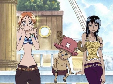 Pre Timeskip Nami, Happy Birthday Robin, 90s Cartoon Shows, Tony Tony Chopper, Tony Chopper, One Piece Nami, Nami One Piece, One Piece Funny, Straw Hats