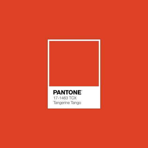 Download Free Adobe Illustrator Palette in .ase • #pantone #color #colourswatch #pantone2020 #colorswatch #pantonered #brightred #red #tangerinecolor Orange Pantone, Pantone Orange, Jazz Logo, Pantone Red, Tomato Color, Pantone Swatches, Pantone Colours, Pantone Palette, Pantone Colour Palettes