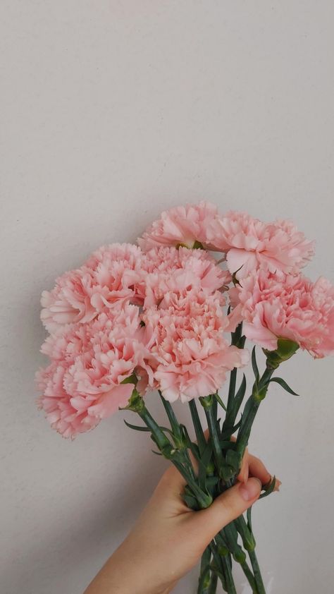 Pink flowers buquet Dianthus Flowers, Bday Wishlist, Flower Ideas, Flowers Bouquet, Big Day, Pink Flowers, Mothers Day, Birthday, Flowers