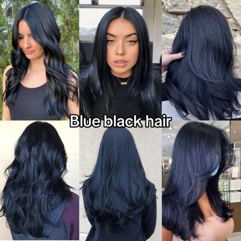 Navy Hair Color Midnight Blue, Dark Blue Hair On Black Hair, Hair Color Ideas Blue Black, Midnight Black Hair Color, Blue Black Curly Hair Natural, Black Tinted Hair, Black Blueish Hair, Black Blue Undertone Hair, Bleach Placement Hair