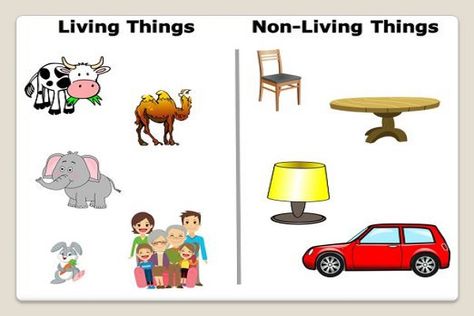 Example of Living things & non- living things in daily life Non Living Things Images, Non Living Things Drawing, Living Things And Non Living Things, Living And Nonliving Things, S Worksheet, Non Living Things, Shape Worksheets For Preschool, Living And Nonliving, Alphabet Writing Practice