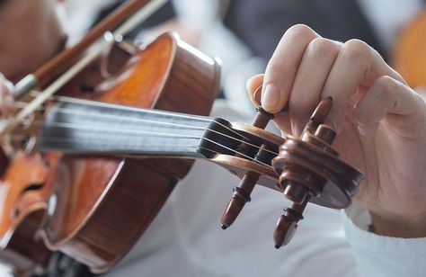 Learn the History of Standard Tuning: Who Standardized it, Why, and When? - The A note changed over the centuries due to concert hall architecture, instrument innovations, and the globalization of Western music. Read more: Violin Tuning, Hall Architecture, Concert Hall Architecture, Violin Makers, Violin Strings, Western Music, Concert Hall, Violin, The History