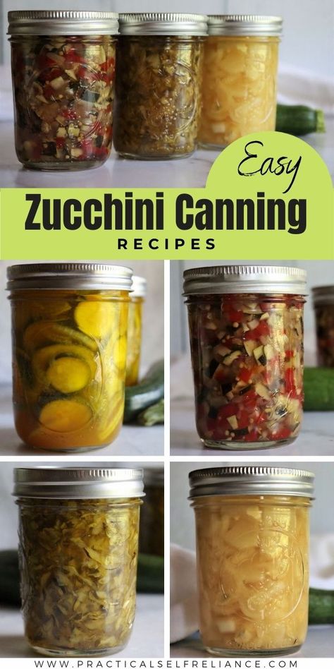 Easy & Creative Canning Zucchini Recipes: How to Preserve Summer Squash- If you're looking for the best ways to preserve zucchini squash and zucchini canning ideas, look no further. Water bath canning zucchini and summer squash is so easy to do, even for beginners. From zucchini, relish to jam to marmalade. Even zucchini canned in pineapple juice, zucchini pickles, and canning zucchini in tomato sauce. You're going to love all of these canning recipes for summer squash and garden zucchini. Pressure Canning Zucchini, Canning Recipes Zucchini, Zucchini Recipes For Canning, Preserving Zucchini Recipes, Canning Recipes For Zucchini, Zuchinis Recipe Canning, Pickling Zucchini Canning Recipes, Zucchini Salsa Canning Recipes, Zucchini Preservation