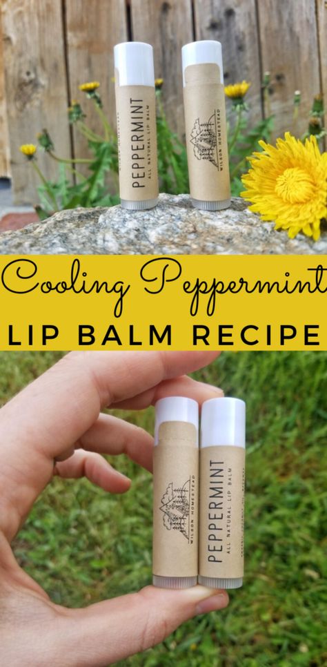 Goat Milk Lip Balm, Goat Milk Lip Balm Recipe, Goat Milk Chapstick Recipe, Lipbalm Diy Recipes, Peppermint Lip Balm Recipe, Beeswax Lip Balm Recipe, Diy Peppermint Lip Balm, Chapstick Recipe, Melts Recipes