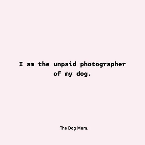 Dog Happiness Quotes, Summer Dog Quotes, Husky Mom Quotes, Dogs Quotes Meaningful, Dog Captions For Insta, Dog Captions, Funny Dog Quotes, Dog Mom Quotes, Apartment Dogs