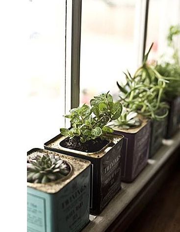 Inspired by Pinterest - Funky Junk Interiors Kitchen Window Herb Garden, Window Herb Garden, Koti Diy, Windowsill Garden, Gardening Design, Indoor Gardens, Herbs Indoors, Tea Tins, Deco Floral