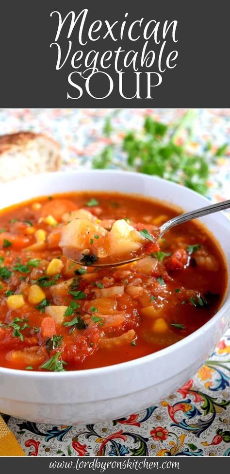 Spicy Vegetable Soup, Mexican Vegetable Soup, Best Vegetable Soup Recipe, Mexican Vegetables, Vegan Tortilla Soup, Vegan Tortilla, Mexican Soup Recipes, Vegetable Soups, Vegetable Soup With Chicken