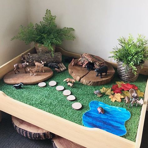 It was a forest small world kinda day today! 🐻 🌟 Lilly helped me rotate some of our play room this afternoon so we decided to set up a new small world! We had a look through our Schleich collection and settled on a forest for this week! 🦊 🌟 Our small world table is just a @kmartaus train table with a piece of artificial turf from @bunnings added to the top. 🌟 Our animals are all Schleich brand from @minizooshop and our large wooden cookie and piece of timber was foraged from @... Train Table Hack, Schleich Collection, Diy Forest, Preschool Classroom Setup, Train Table, Tuff Tray, Sensory Table, Play Spaces, Play Table