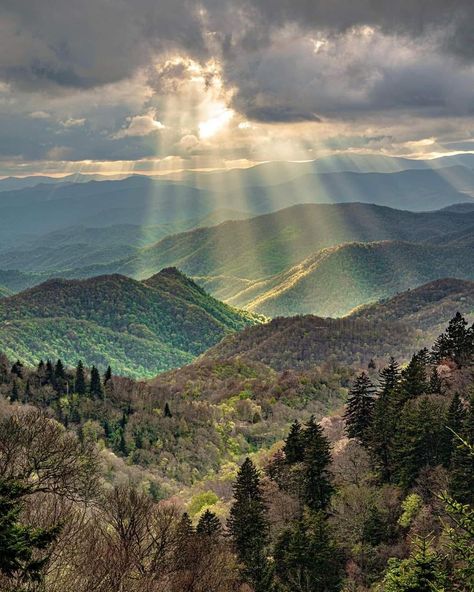 Cowboy Quotes | The biggest mistake we make in life is thinking we have time. Smokey Mountains National Park, American National Parks, North Carolina Mountains, Scenery Pictures, Mountain Travel, Appalachian Mountains, Great Smoky Mountains National Park, Smoky Mountain National Park, Blue Ridge Mountains