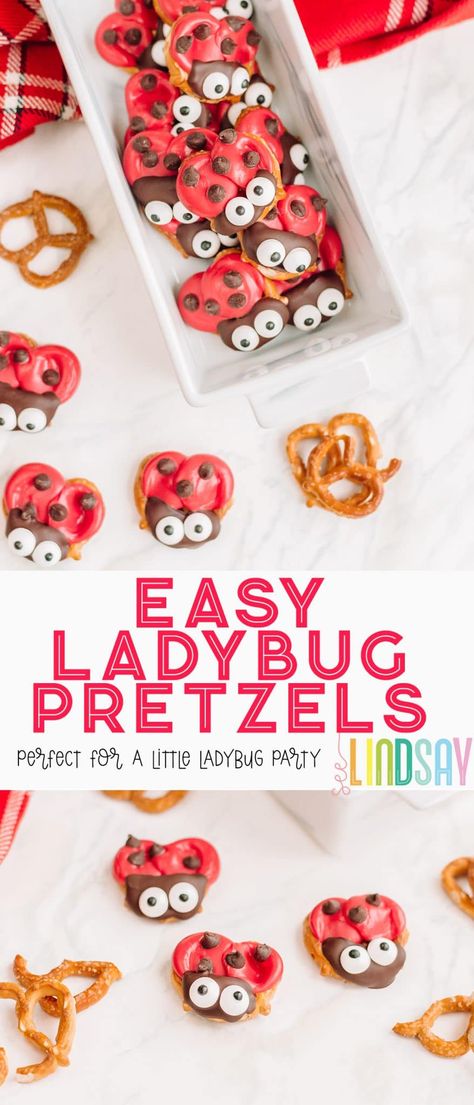 Ladybug Treats Birthday, Miraculous Party Food, Miraculous Ladybug Party Snacks, Ladybug Snacks Preschool, Lovebug Birthday Party, Lady Bug Themed Party Food, Ladybug Theme Party 1st Birthdays, Ladybug Themed Birthday, Bug Themed Birthday Party Food