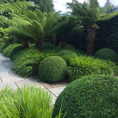 Stephen Gore on Twitter: "Love a bit of topiary 🌱💚 #topiary #gardening #strettonoldhall #ngs #rhs… " Green On Green, Formal Gardens, Garden Pathway, Garden Landscape Design, Courtyard Garden, Green Garden, Modern Landscaping, Small Gardens, Tropical Garden