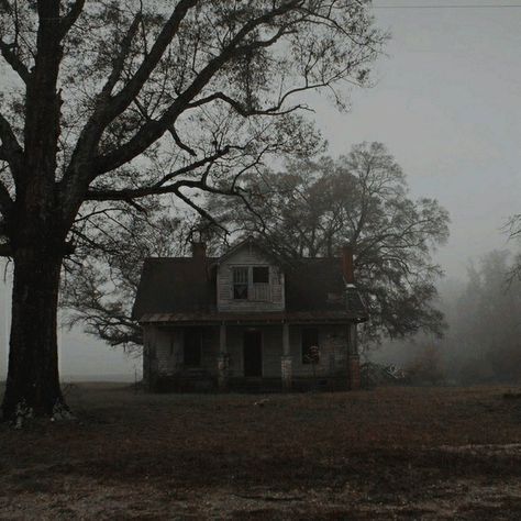 Dark Naturalism, Black Coats, Dark Forest Aesthetic, Something Something, Gothic Aesthetic, Autumn Forest, Dark Photography, Dark Forest, Abandoned Places